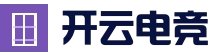 开云体育 - 电竞赛事直播平台