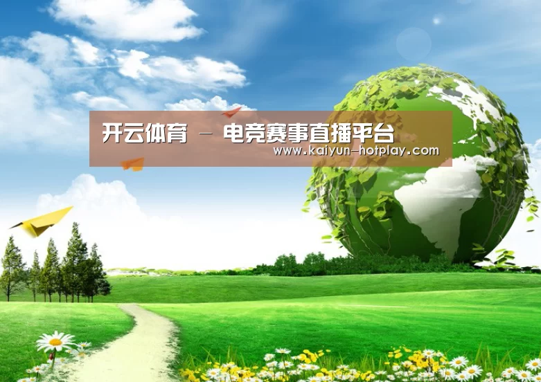 开云电竞公司