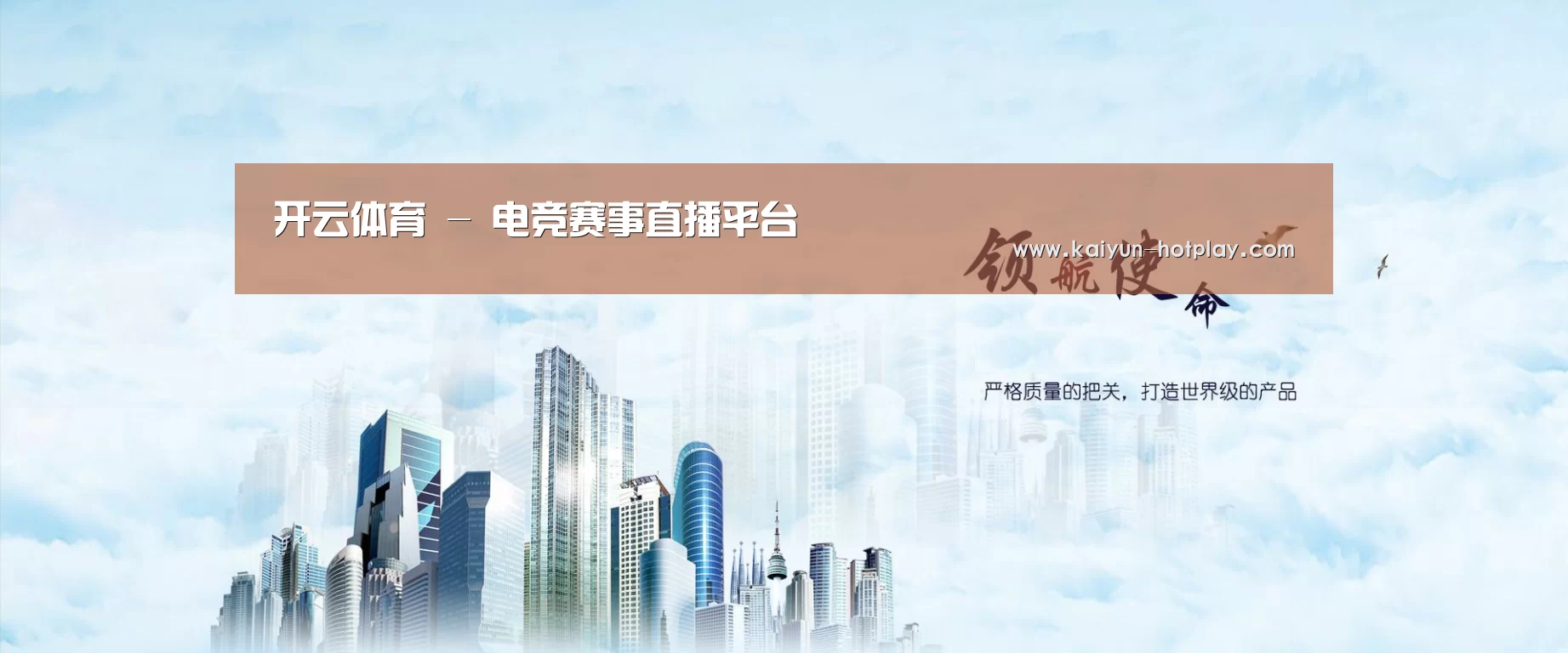 开云电竞公司