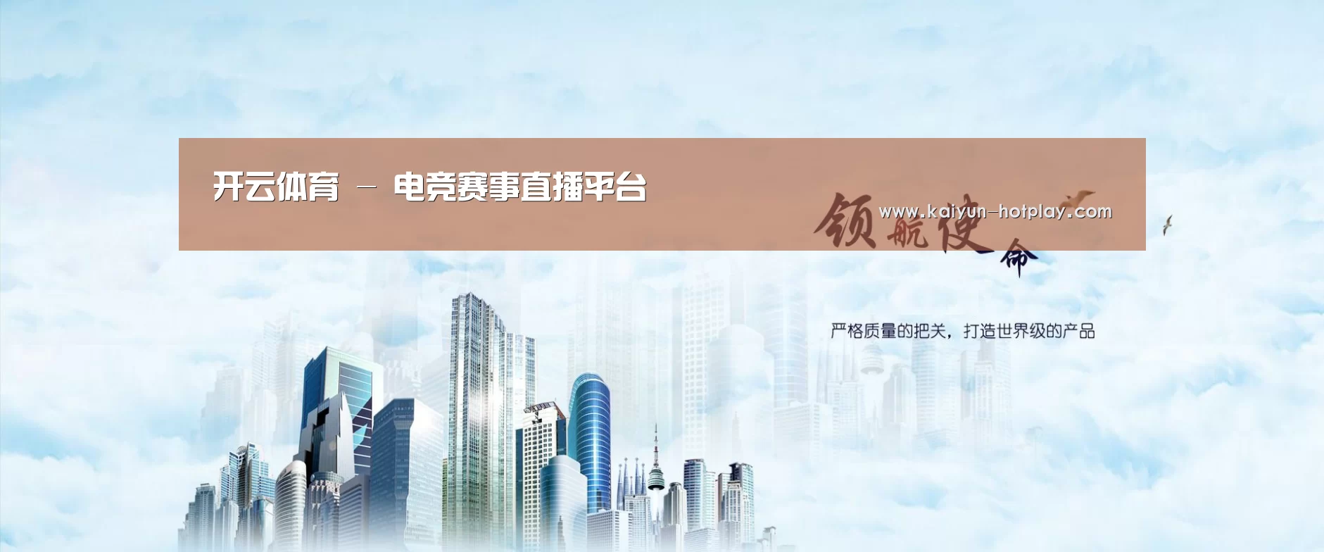 开云电竞公司