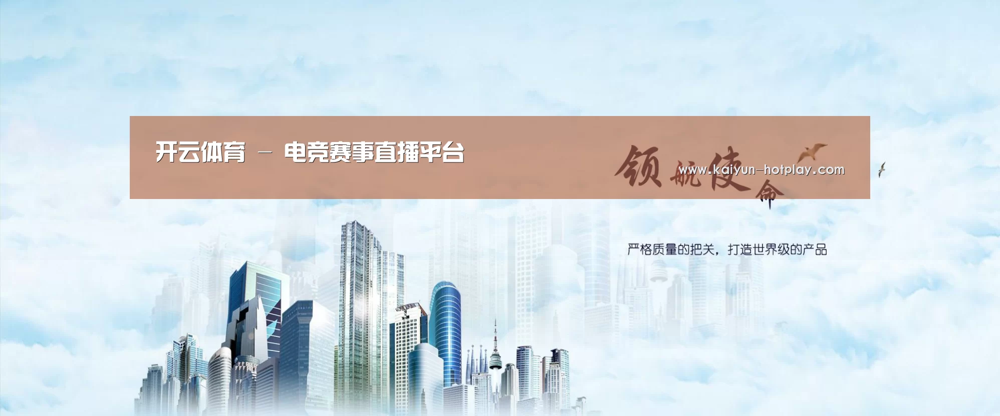开云电竞公司