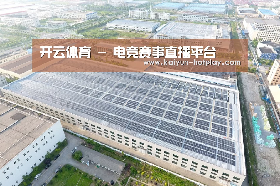案例展示二