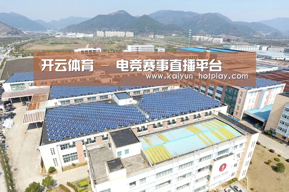 案例展示二