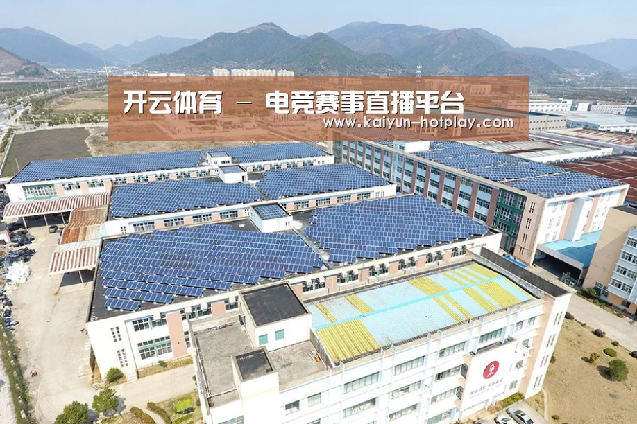 案例展示四