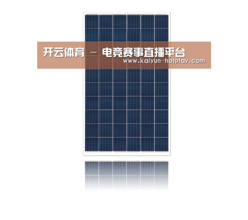 产品名称一