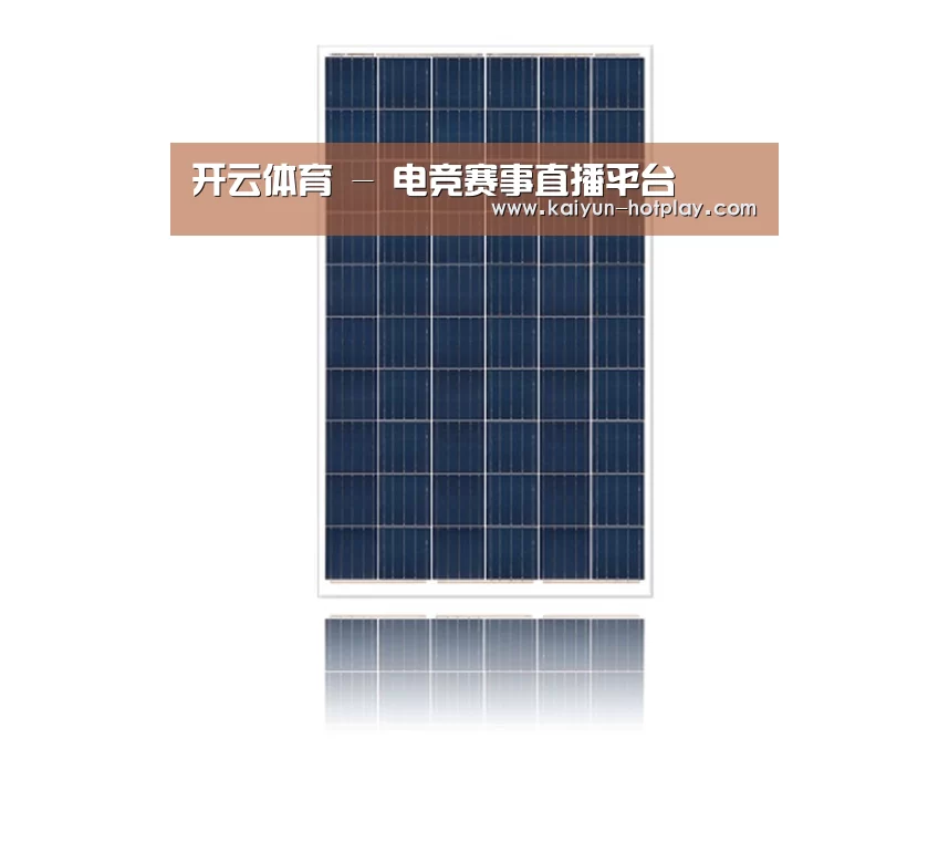 产品名称一