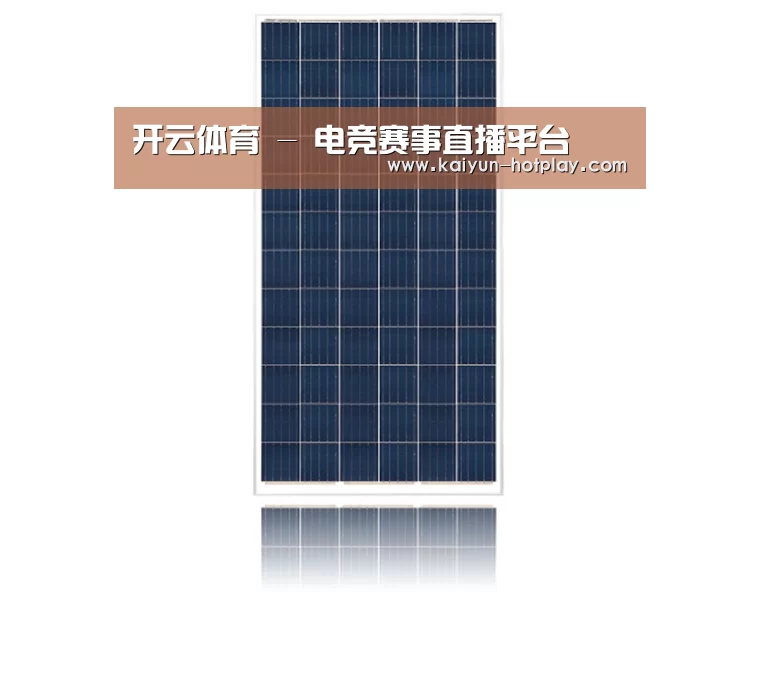 产品名称一