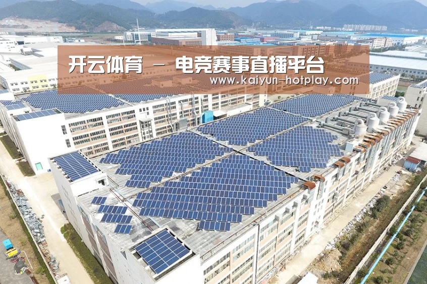 案例展示二