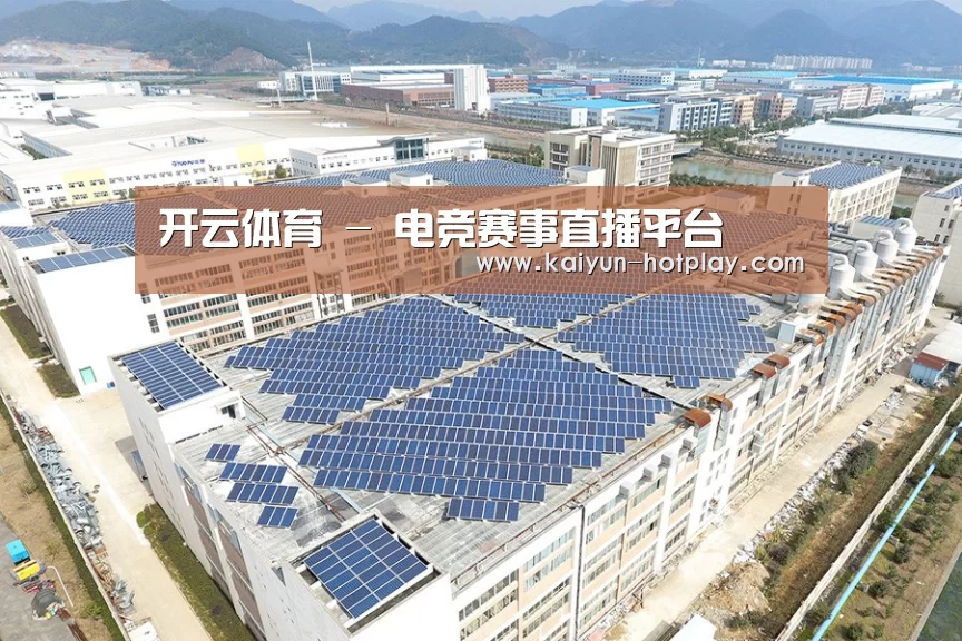 案例展示四