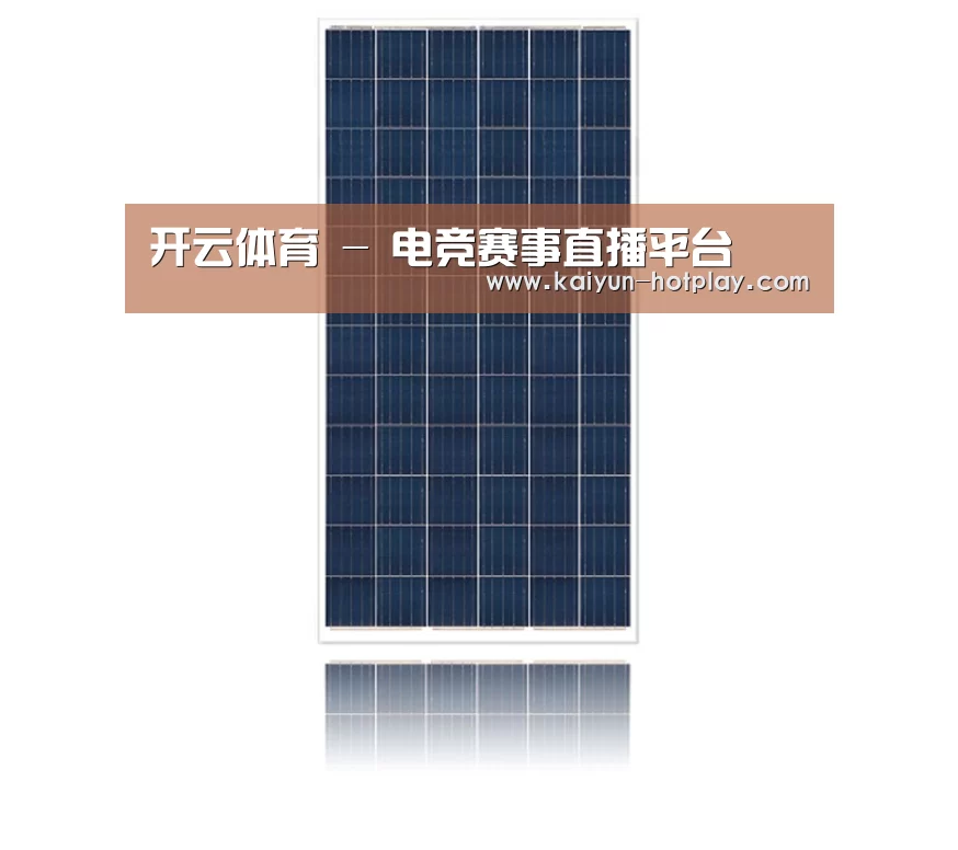 产品名称一