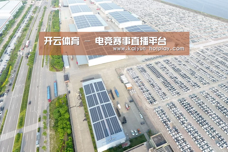 案例展示四