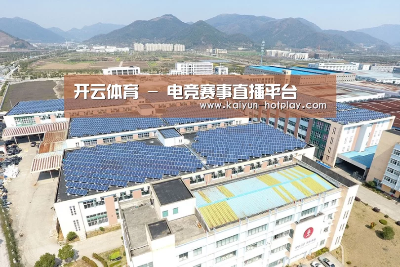案例展示三