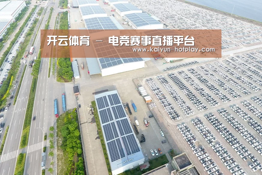 案例展示二