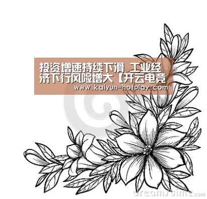 投资增速持续下滑 工业经济下行风险增大【开云电竞平台】(图1) 开云电竞平台
