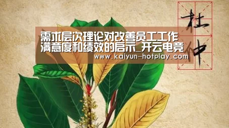 需求层次理论对改善员工工作满意度和绩效的启示_开云电竞平台(图3) 开云电竞赛事直播