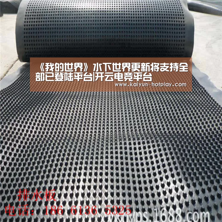 《我的世界》水下世界更新将支持全部已登陆平台|开云电竞平台(图2) 开云棋牌游戏