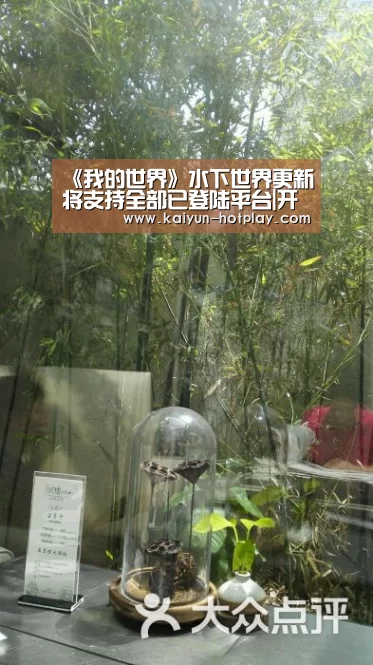 《我的世界》水下世界更新将支持全部已登陆平台|开云电竞平台(图4) 开云棋牌游戏