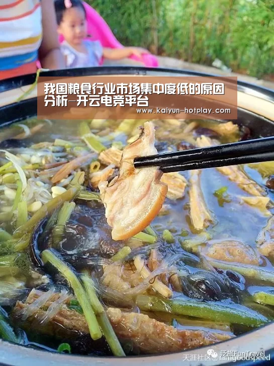 我国粮食行业市场集中度低的原因分析-开云电竞平台(图1) 开云电竞