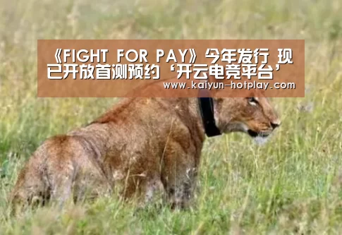《FIGHT FOR PAY》今年发行