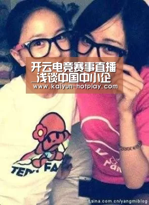 开云电竞赛事直播_浅谈中国中小企业管理模式(图4) 开云电竞赛事直播