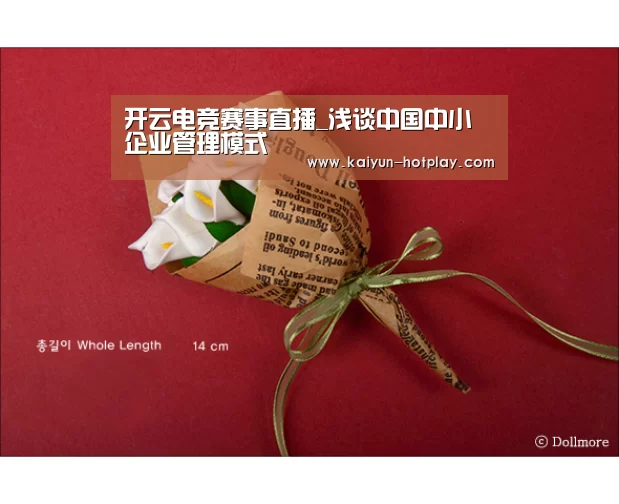 开云电竞赛事直播_浅谈中国中小企业管理模式(图3) 开云电竞赛事直播