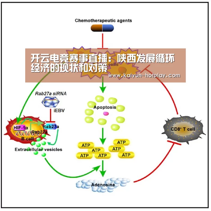 开云电竞赛事直播:陕西发展循环经济的现状和对策(图2) 开云电竞
