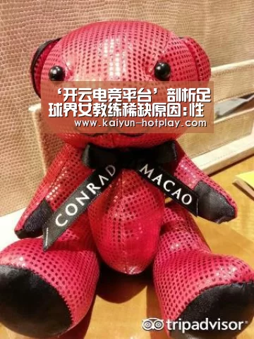 ‘开云电竞平台’剖析足球界女教练稀缺原因:性别歧视作祟 竞争大(图1) 开云电竞平台