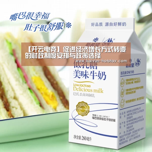 【开云电竞】促进经济增长方式转变的财政制度安排与政策选择(图4) 开云电竞赛事直播