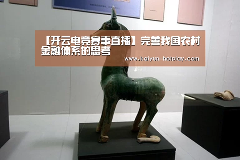 【开云电竞赛事直播】完善我国农村金融体系的思考(图1) 开云电竞平台