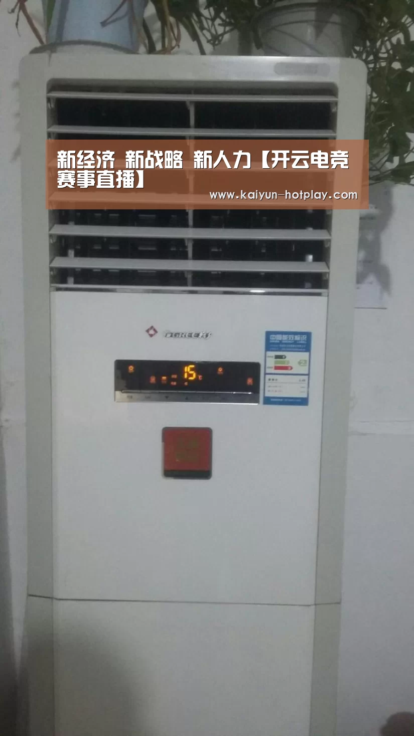 新经济 新战略 新人力【开云电竞赛事直播】(图1) 开云电竞赛事直播