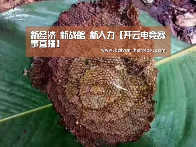 新经济 新战略 新人力【开云电竞赛事直播】(图3) 开云棋牌游戏